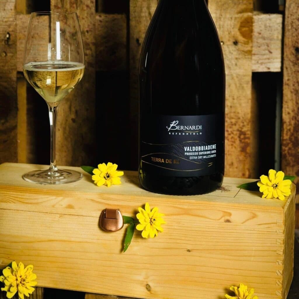 Vinařství Catina Bernardi