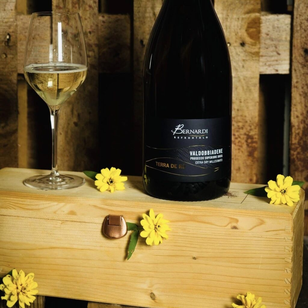 Vinařství CATINA BERNARDI