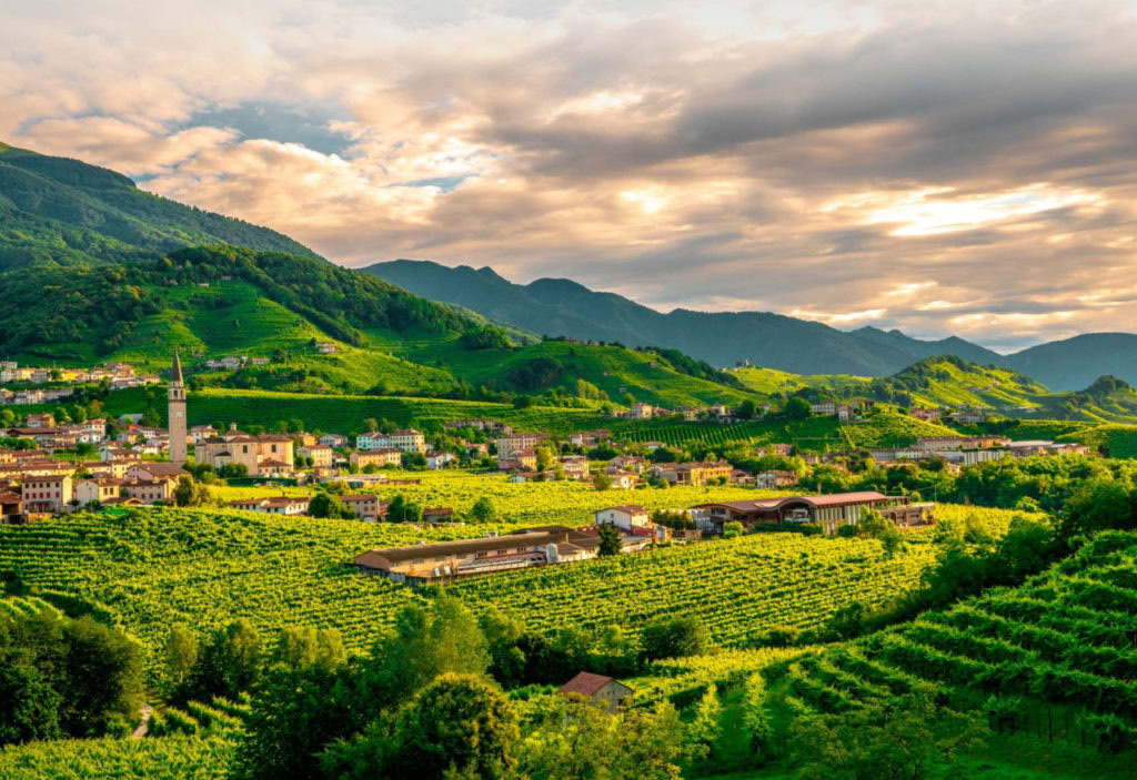 Vinařství NANI RIZZI